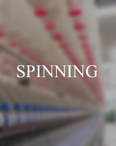 Spinning